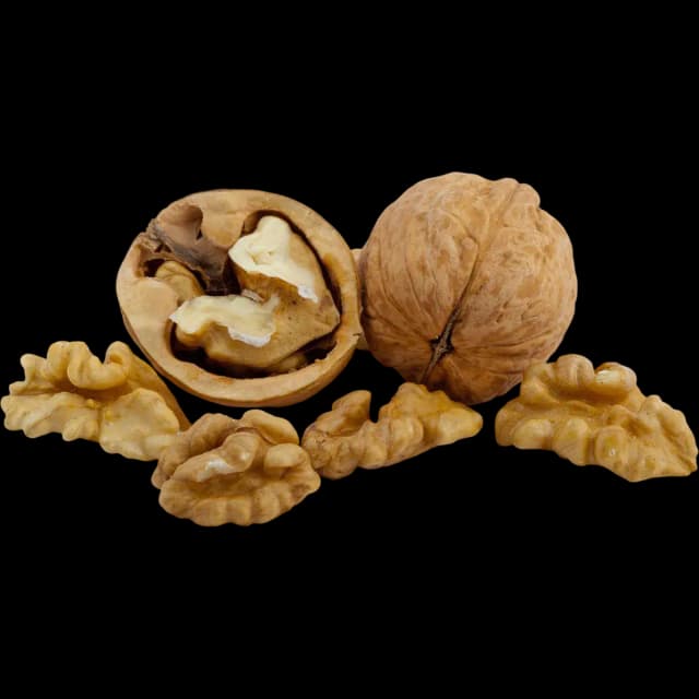 Walnut