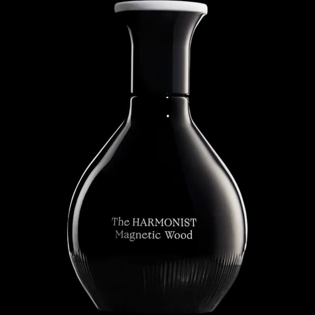 Magnetic Wood