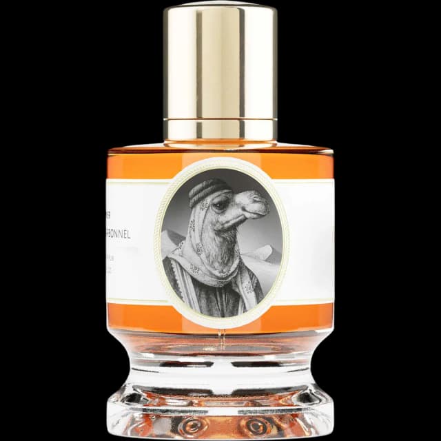 Camel