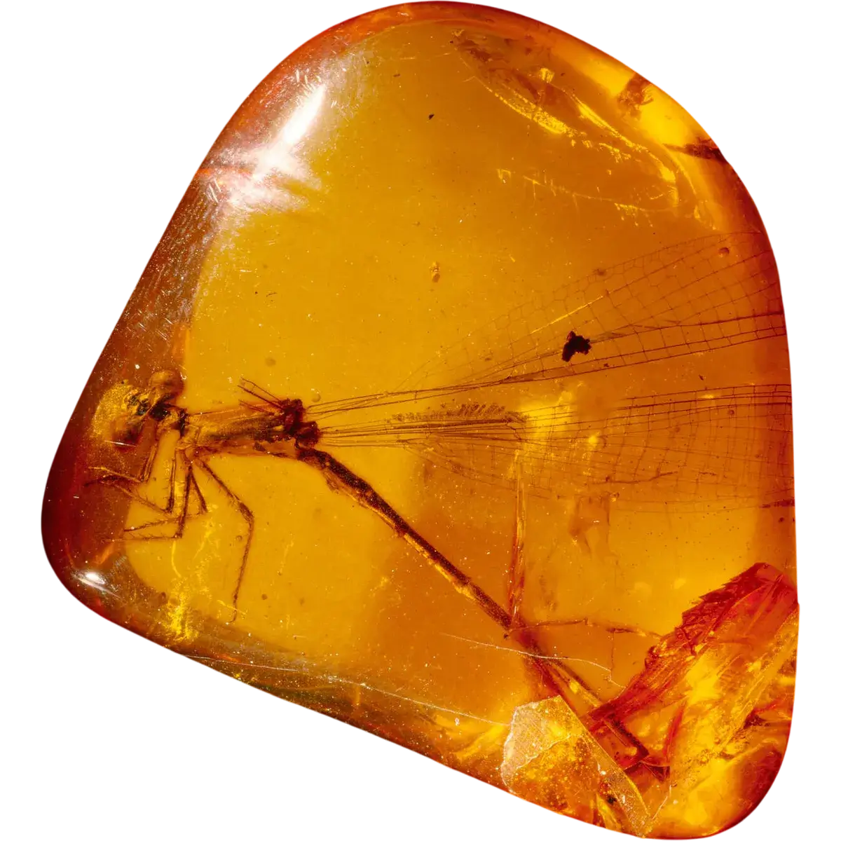 Amber