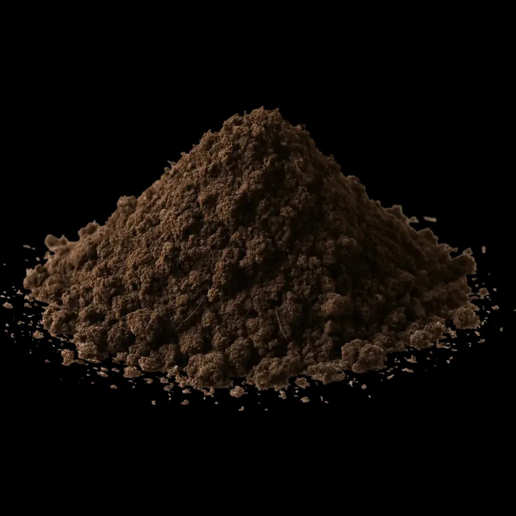 Dirt