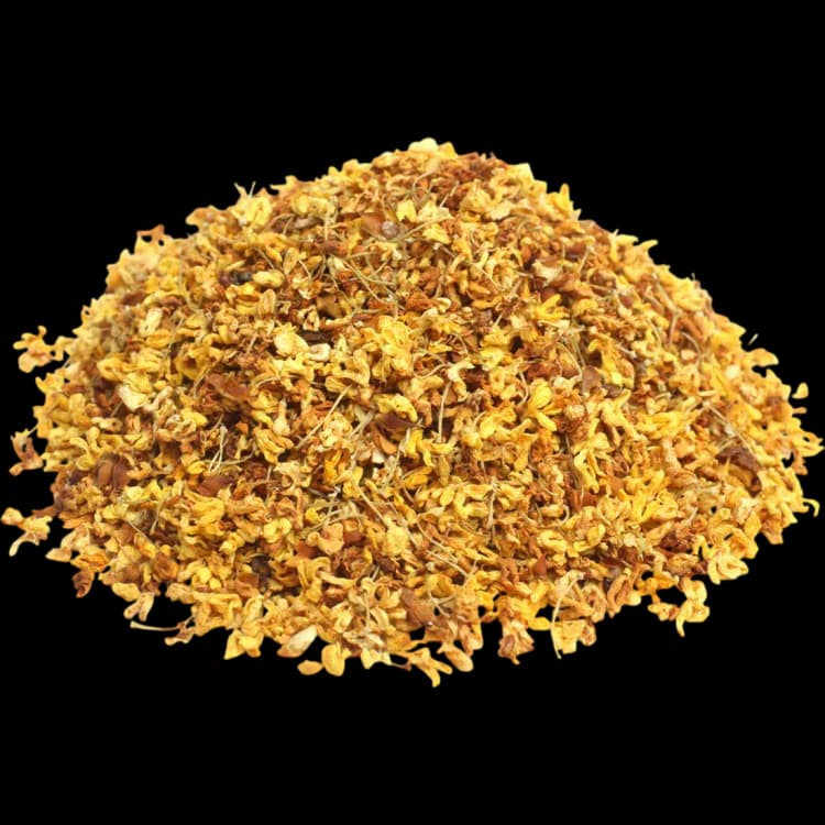 Osmanthus