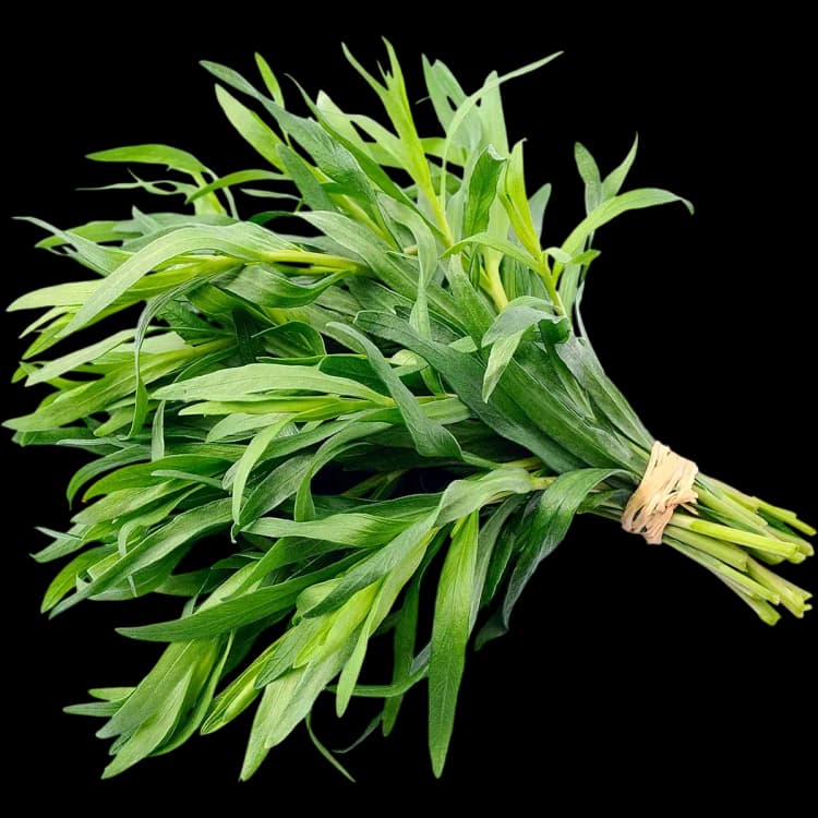 Tarragon