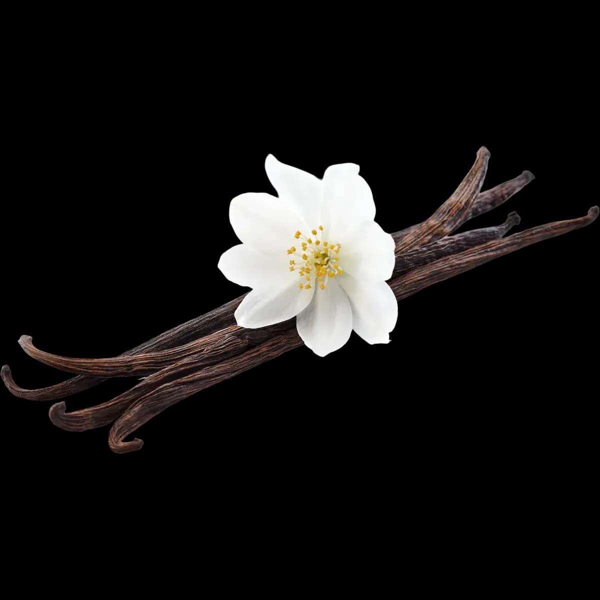 Vanilla