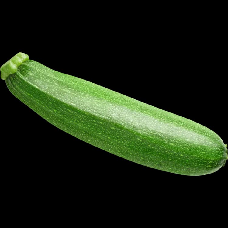 Zucchini